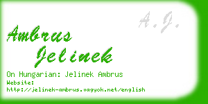 ambrus jelinek business card